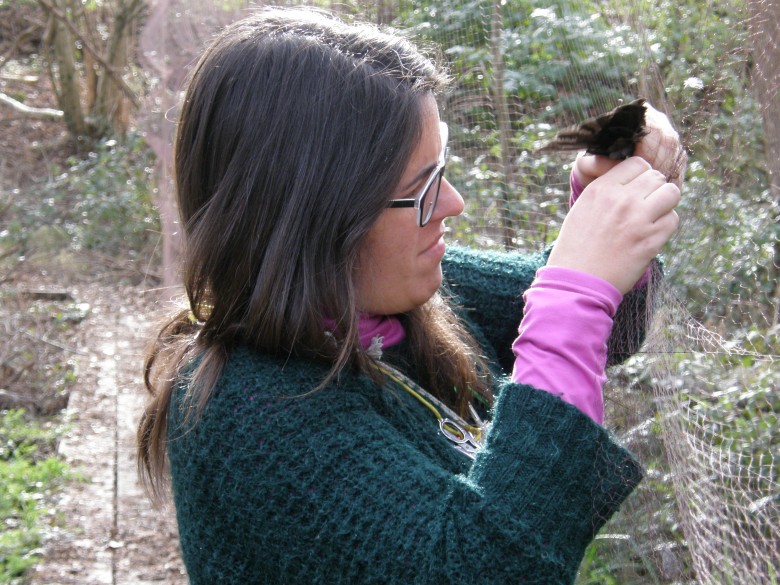 Carmen recogiendo un ave de una red japonesa del Urdaibai Bird Center.