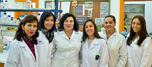El equipo de investigadoras. De izquierda a derecha: Zulema Bustamante, Elena Sevillano, Lucía Gallego, Mónica Cerezales, Janire Suárez y Carla Ferrero.