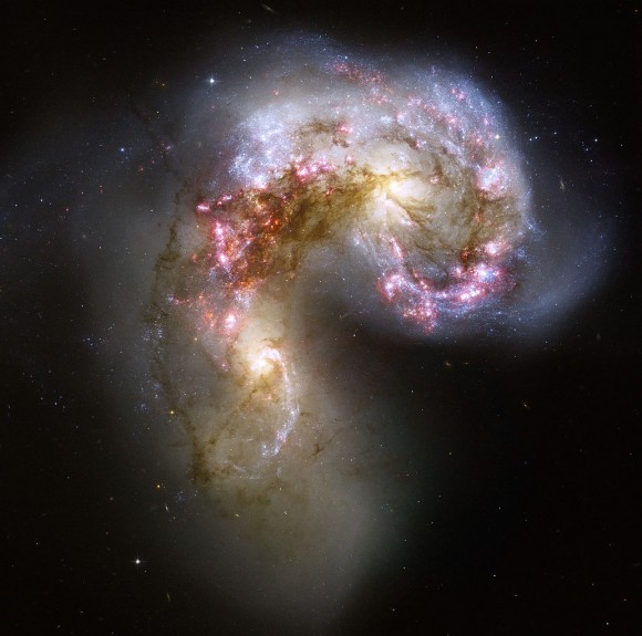 Las Galaxias Antennae son un ejemplo de una gran galaxia starburst.