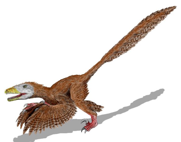 Exaptación: recreación del dinosaurio con plumas.