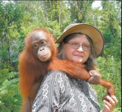 Las primeras primatólogas III: Birute Galdikas, una amiga para los tímidos orangutanes de Borneo