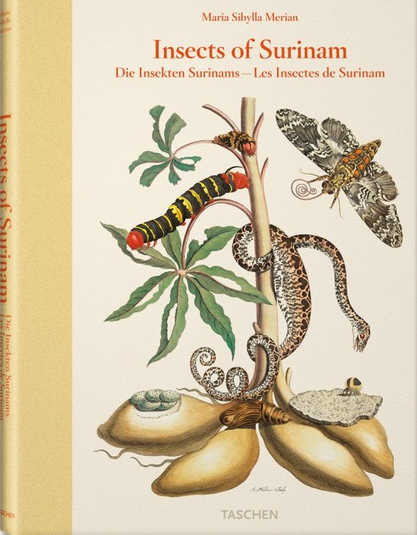 cover_insects_surinam