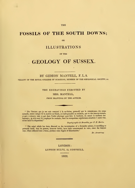 Mantell 4 &#8211; fossils 1822