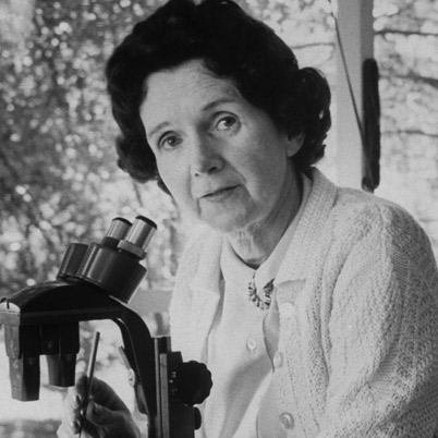 El caso de Rachel Carson | Vidas científicas | Mujeres con ciencia