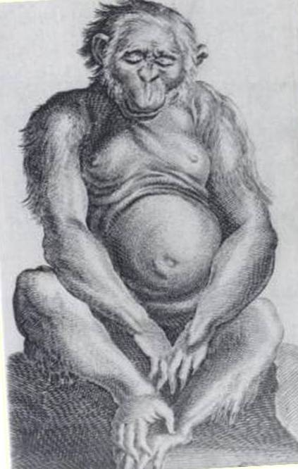 Ilustración de una hembra simia (Homo sylvestris). De Observationes Medicae, de Nicolaes Tulp 