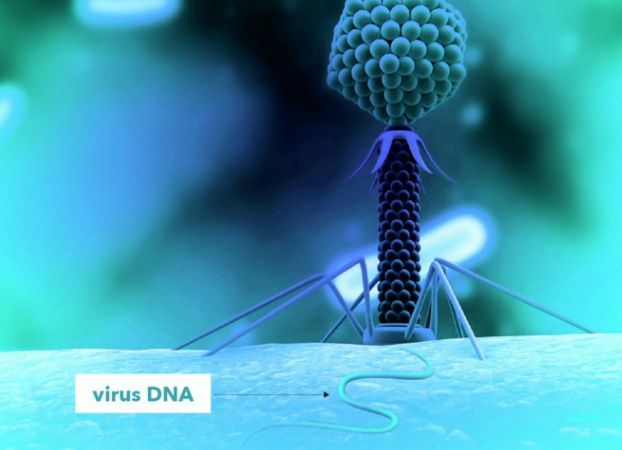Jennifer Doudna: Ahora ya podemos editar nuestro ADN, pero hagámoslo con prudencia