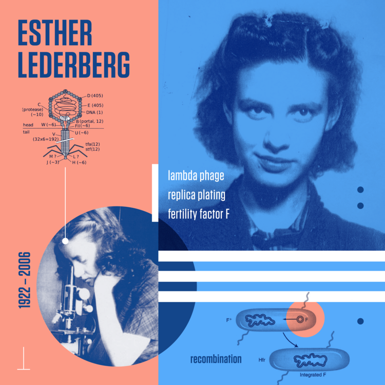 esther_lederberg