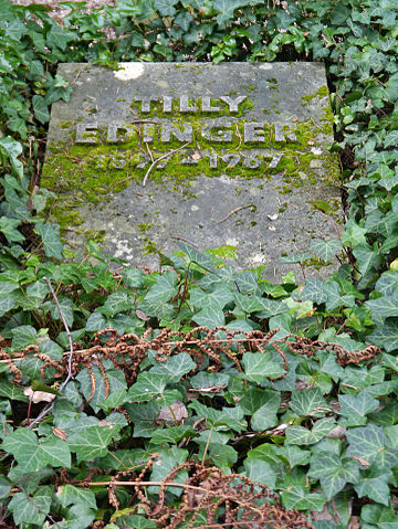Hauptfriedhof-Frankfurt-2016-Tilly-Edinger-Ffm-640