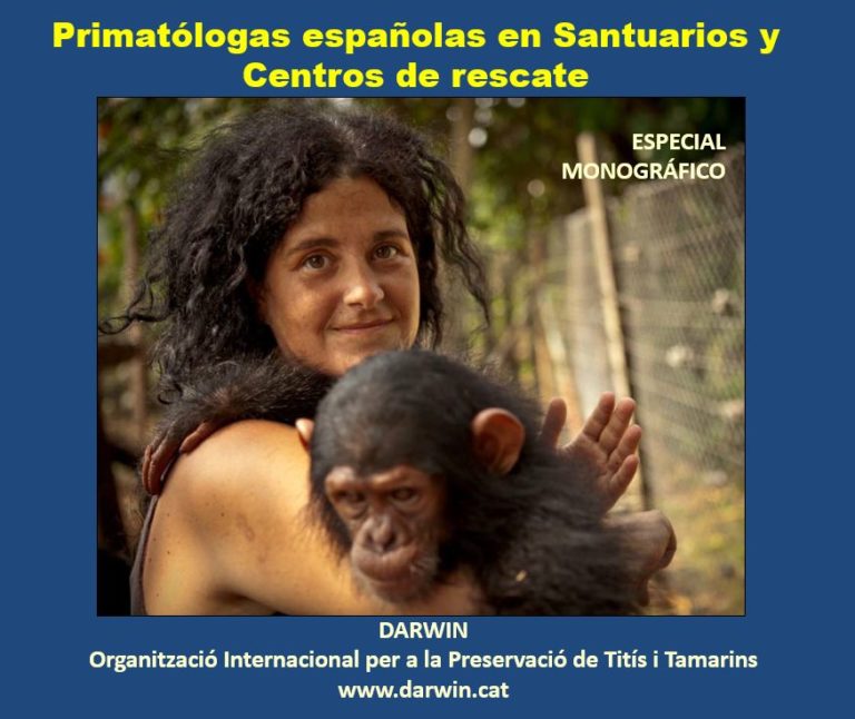 Primatólogas, en España y en el mundo