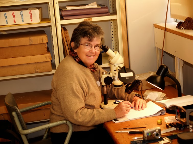 Nieves López Martínez, la paleontóloga que supo leer la relación entre la vida y la Tierra a partir de los fósiles de conejos y liebres