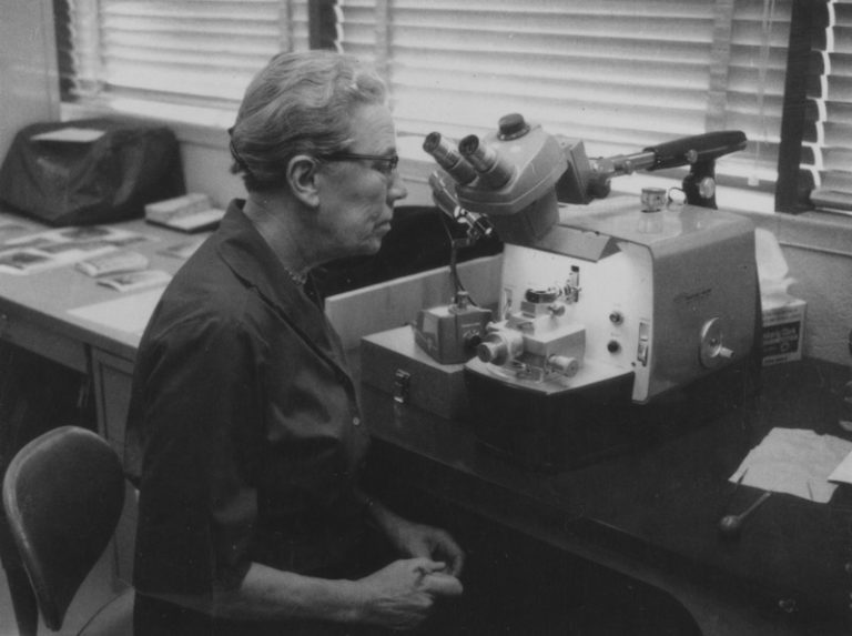 Katherine Esau ante el microscopio en la Universidad de California Santa Barbara
