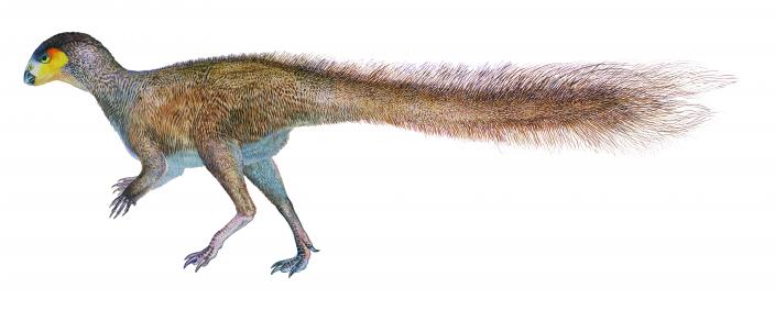 Leaellynasaura-dinosaur