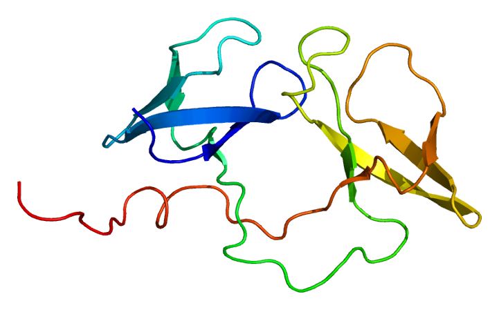 Protein_FMR1_PDB_2bkd
