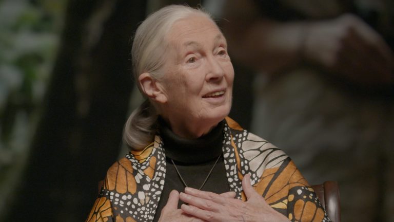 Jane Goodall: «Lecciones de vida de un espíritu indomable»