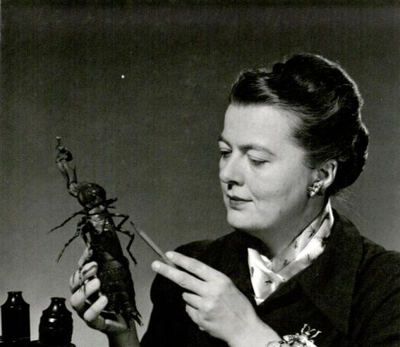 Alice Gray, la Dama Bicho, la entomóloga que dedicó su vida a aprender y enseñar sobre los insectos