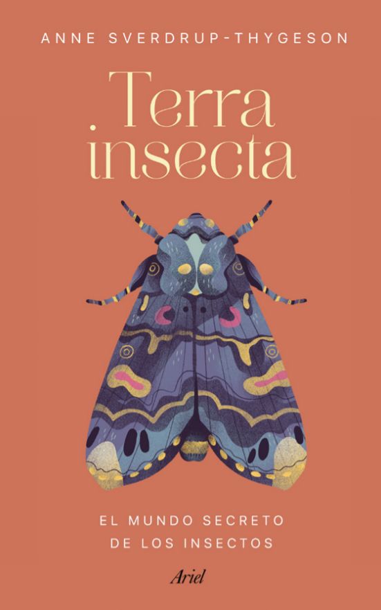 tierra insecta