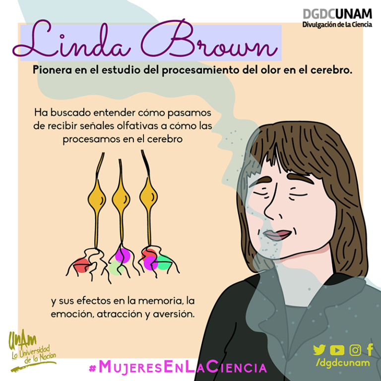 2020-02-17-linda-brown