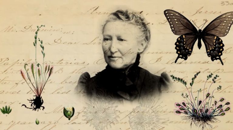 Mary Davis Treat y Charles Darwin: vínculos epistolares entre plantas maravillosas
