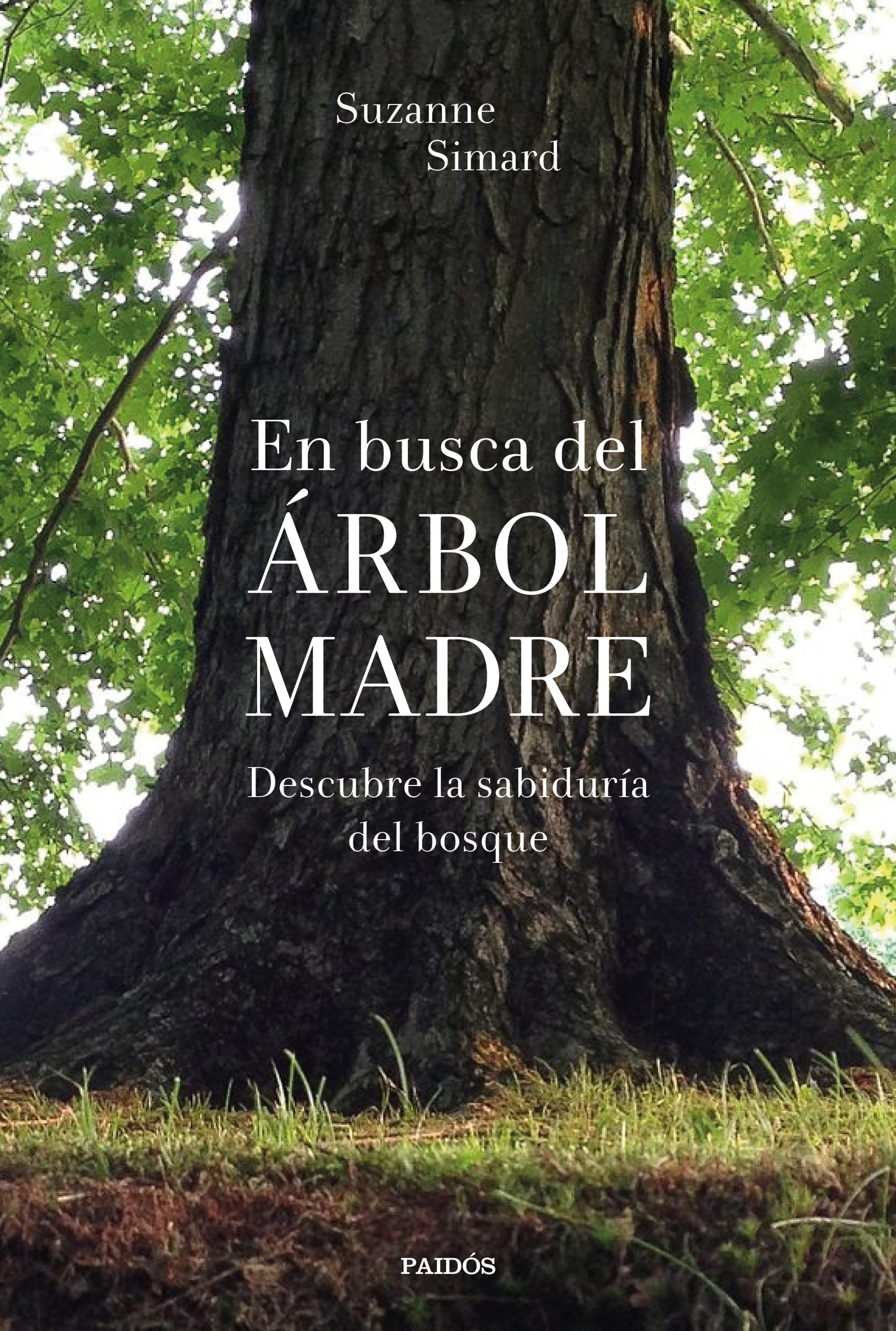 En busca del Árbol Madre - Mujeres con ciencia