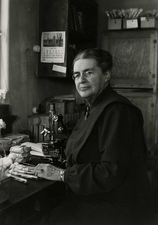 JohannaWesterdijk1930