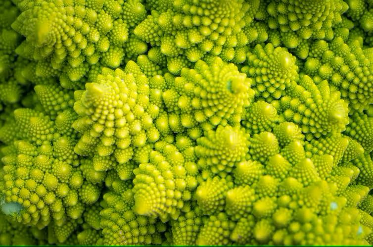 Los fractales son mucho más que una coliflor
