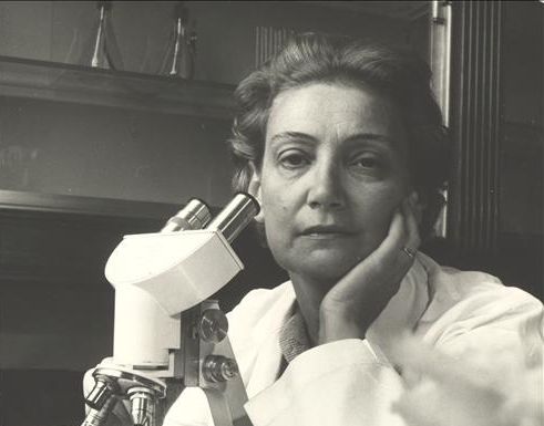 Amalia Fleming, bacterióloga y activista griega