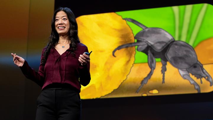 Frances S. Chance: ¿Son los cerebros de los insectos la clave para una mejor IA?
