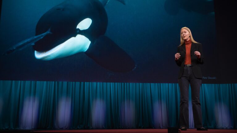 ¿Podría una orca dar una charla TED?