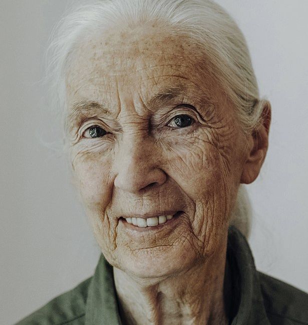 Jane Goodall: una vida dedicada a la protección de los chimpancés