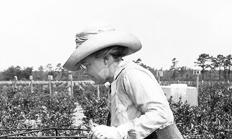 Elizabeth Coleman White, la mujer que cultivaba arándanos