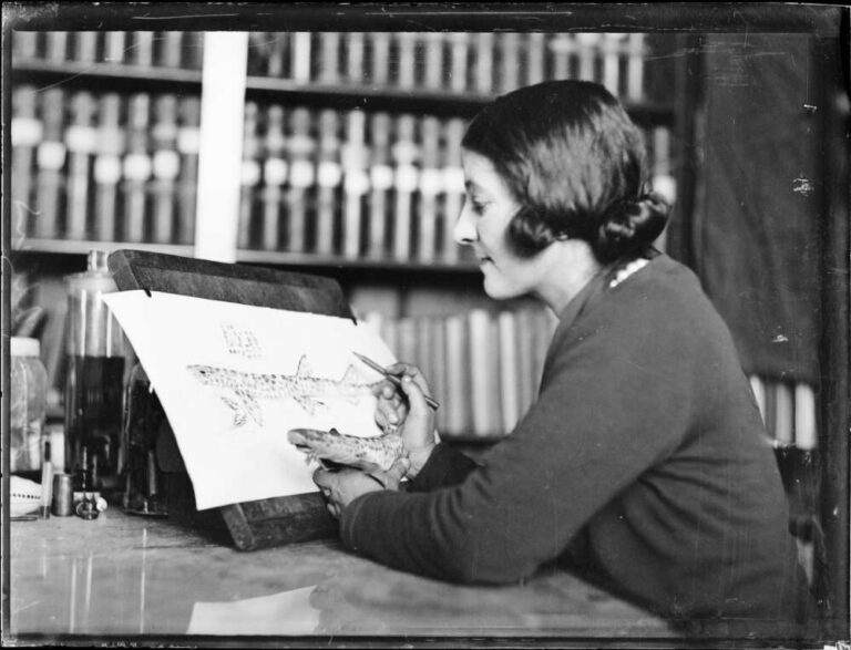 Joyce Allan, conquilióloga