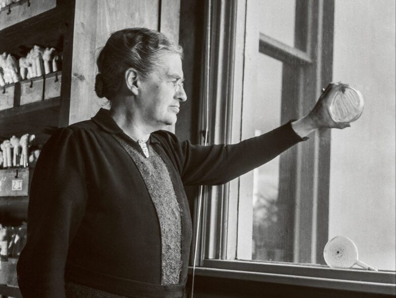 Johanna Westerdijk (1883-1961), creativa micóloga holandesa