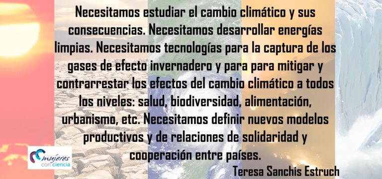 ¿Qué necesitamos para luchar contra el cambio climático?