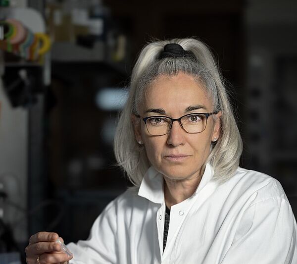 Eva Nogales: «La biología molecular es fascinante»