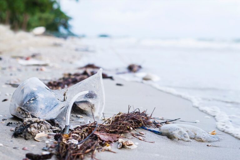 basura-playa-arena-mostrando-problema-contaminacion-ambiental_1150-6645