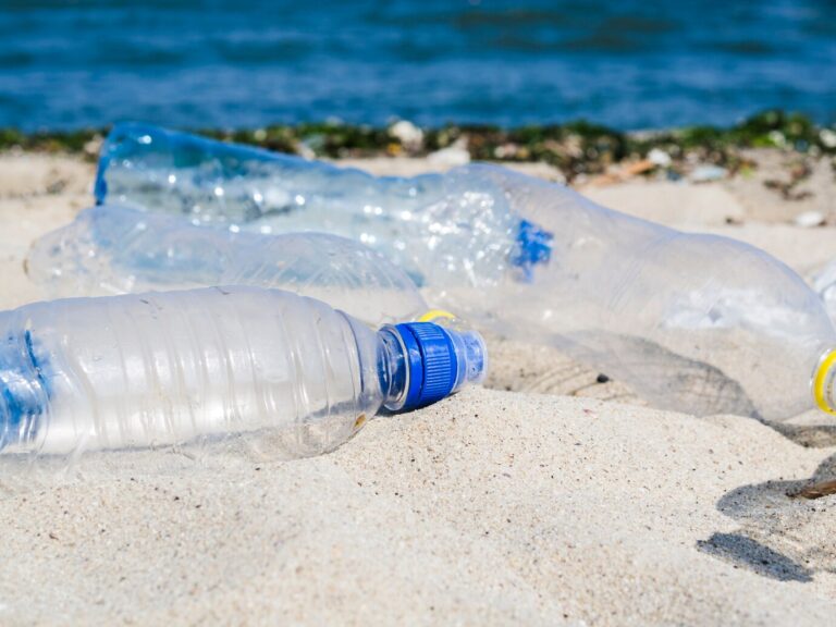 botella-vacia-aguas-residuales-arena-playa_23-2148214486