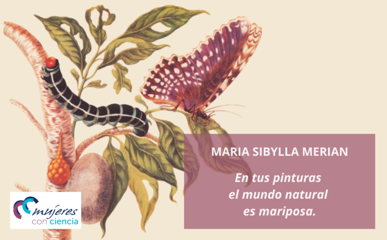Maria Sibylla Merian