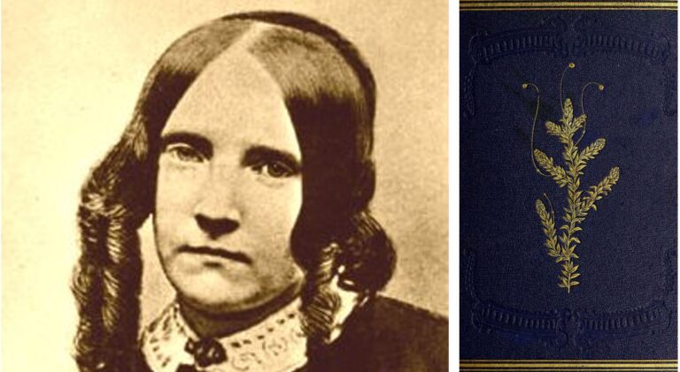 Susan Fenimore Cooper, la precursora de Thoureau y Darwin