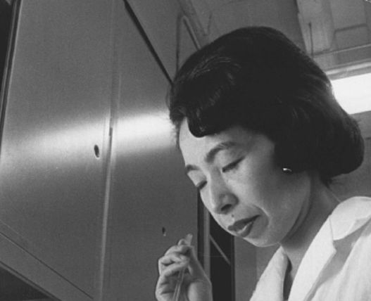 Teruko Ishizaka, inmunóloga