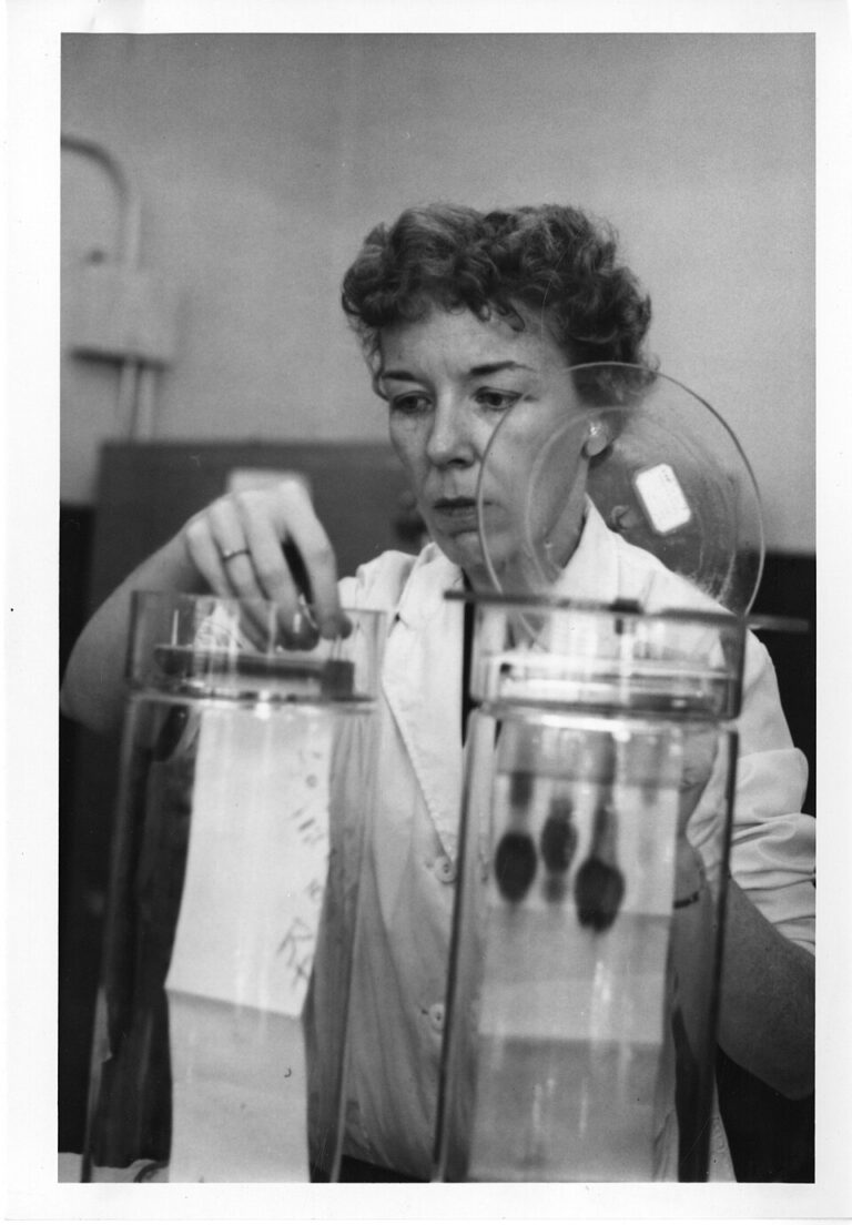 Mary_Alice_McWhinnie_(1922-1980)_-_DePaul_University_-_1962