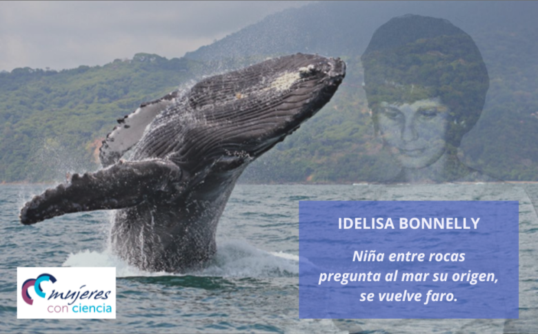 Idelisa