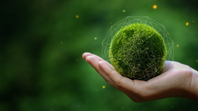 La sostenibilidad no se consigue en solitario: así se tejen las redes verdes