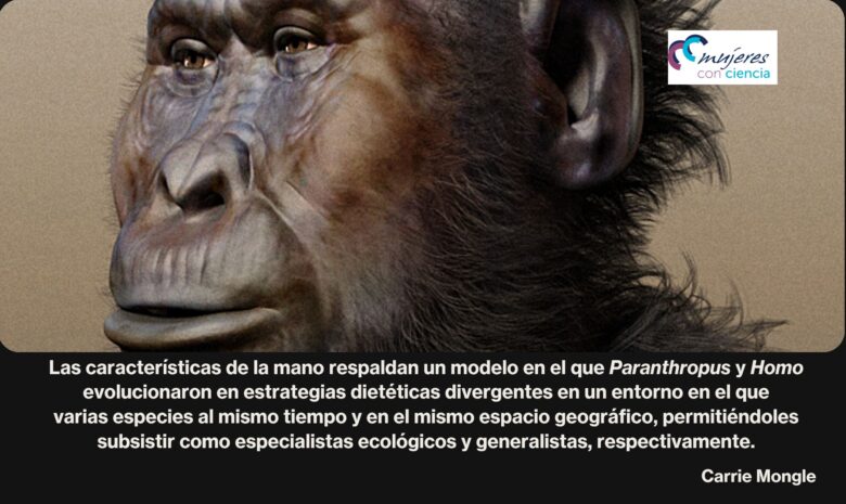 Paranthropus