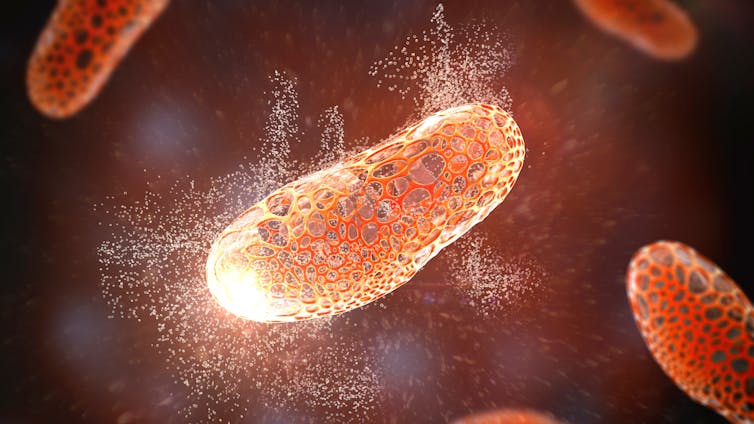 Una diminuta molécula podría acabar con las bacterias inmunes a los antibióticos