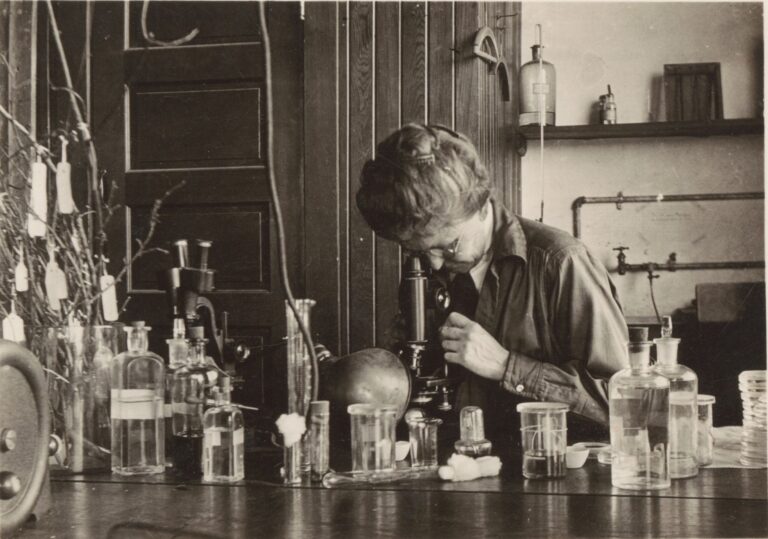 Grace Hall Griswold, entomóloga