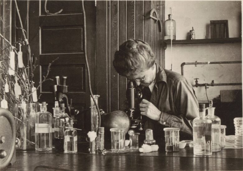 Grace Hall Griswold, entomóloga