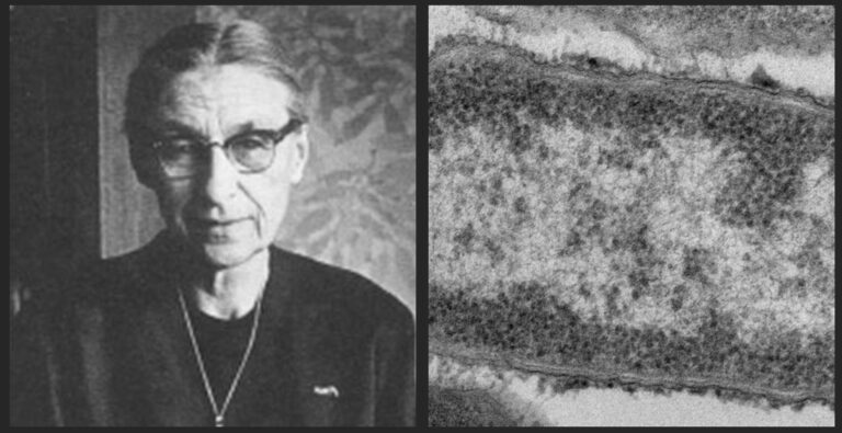 Anna Charlotte Ruys, militante en la «resistencia médica»