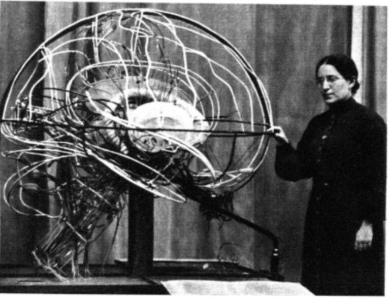 Edith Klemperer, la neuróloga que inventó un modelo de «cerebro luminoso»