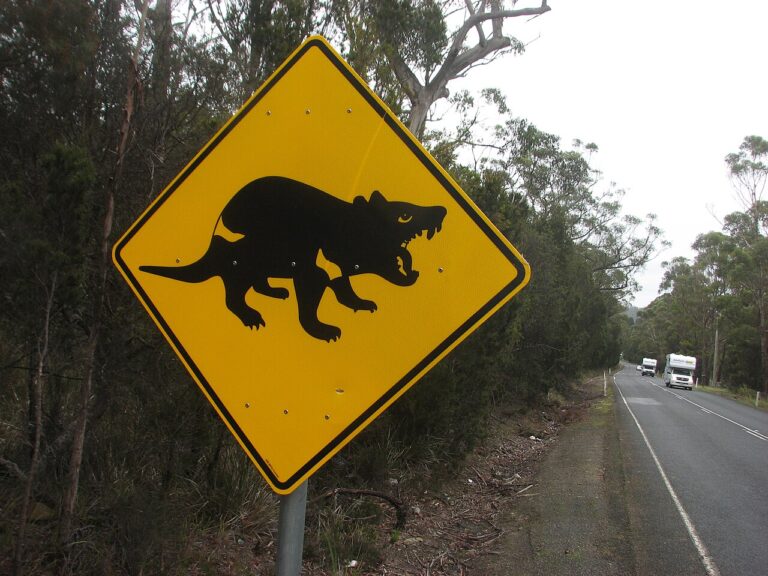 Tasmanian_Devil_roadsign