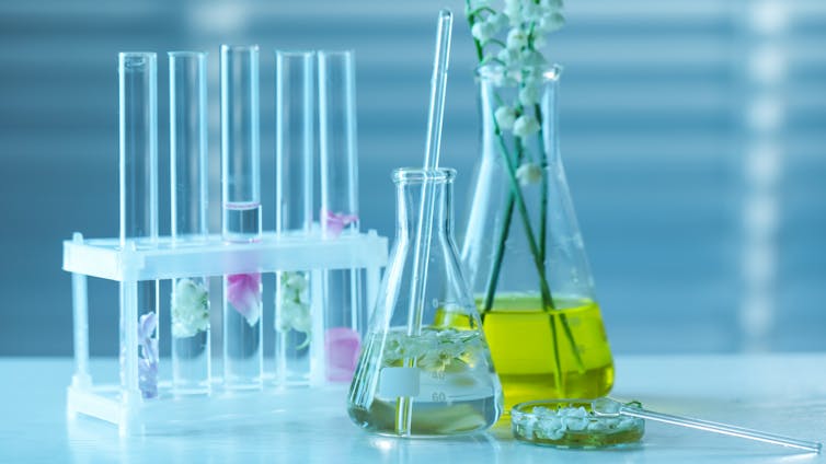 El poder invisible del olor: ciencia y futuro de las fragancias